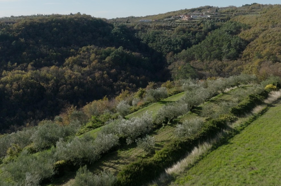Slovenski glasbeniki spisali himno planetu (VIDEO) (foto: Arhiv Ministrstvo za okolje, podnebje in energijo)
