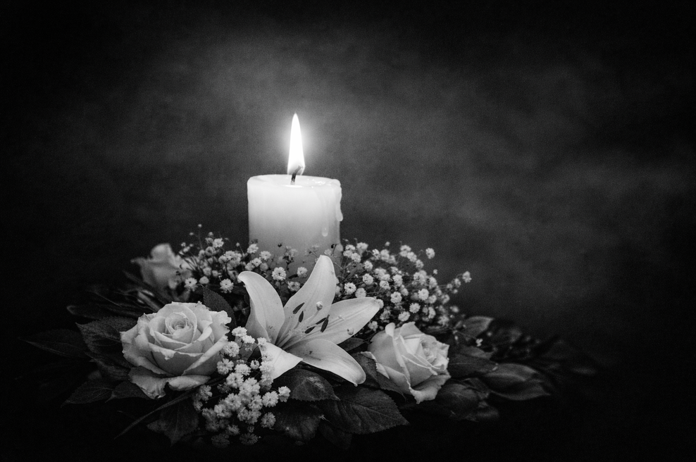 Nataša Pirc Musar objavila srce parajočo novico: za vedno se je poslovil njen ... (foto: Chat GPT)