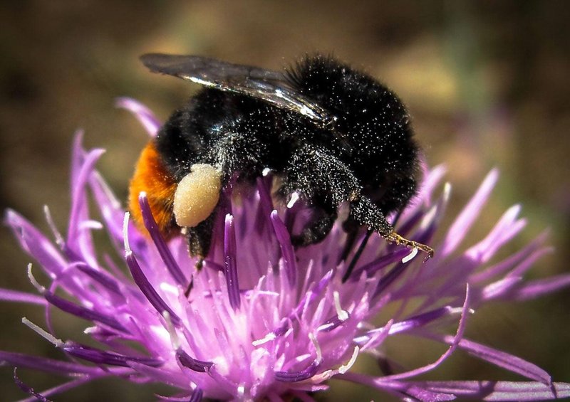 Medicinska sestra s fotografskim objektivom v rokah: "To je zame način opazovanja ljudi in sveta, ne le delo ali hobi"