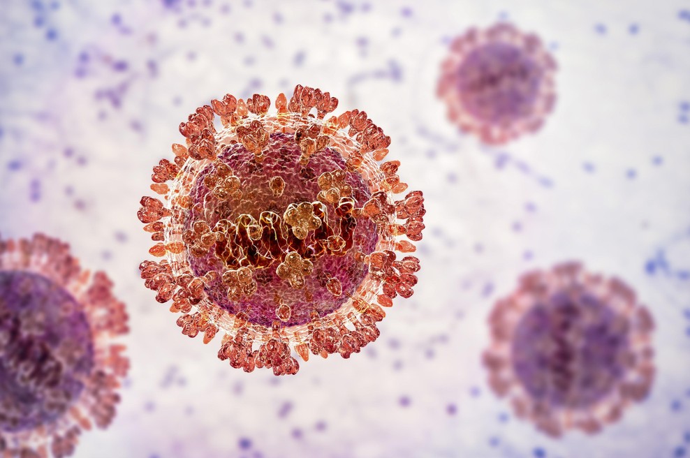 Nevaren virus tik ob naši meji: število težkih primerov se je podvojilo, razglasili izredne ukrepe! (foto: Profimedia)