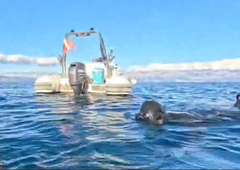 Ribič pri Hvaru naletel na osupljivo najdbo: bitka trajala kar 20 minut, ko so videli posnetek, so vsi obnemeli