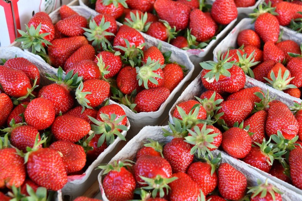 Kako domače so zares jagode na tržnici? Preprost trik takoj razkrije, ali vam prodajalec laže (foto: Profimedia)