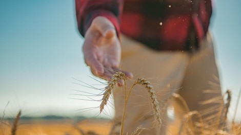 kmet polje njihova roboti ideja zasluzek inovativnost gospodarstvo denar