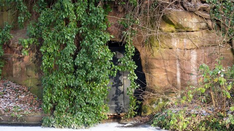 skrivna jama mehika najdba zgodovina clovestvo predsednica arheologija grobnica