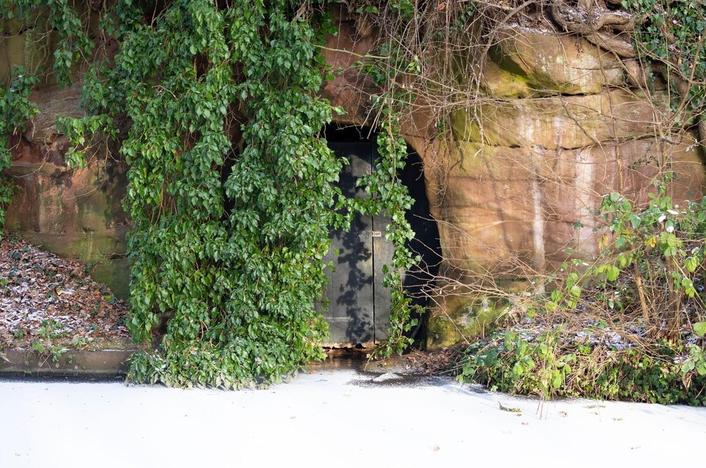 Fotografija je simbolična. (foto: Profimedia)