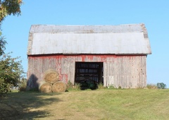 Ko je odprl vrata, so obnemeli: šok in nejevera, ko je 82-letni kmet razkril, kaj skriva v skednju