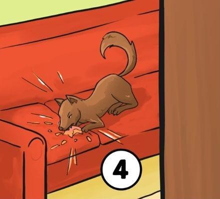 4 Ustavite psa, da ne uniči kavča Če najprej ustavite psa, vaša osebnost kaže, da ste natančni, odgovorni in imate …