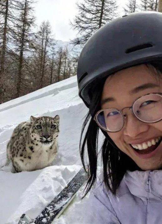 Sekunde do katastrofe: nič hudega sluteča mladenka tik pred napadom pozirala s snežnim leopardom