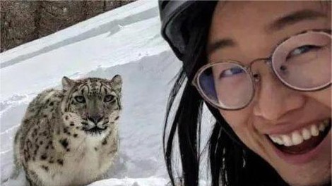 Sekunde do katastrofe: nič hudega sluteča mladenka tik pred napadom pozirala s snežnim leopardom