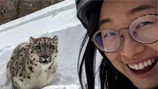 Sekunde do katastrofe: nič hudega sluteča mladenka tik pred napadom pozirala s snežnim leopardom