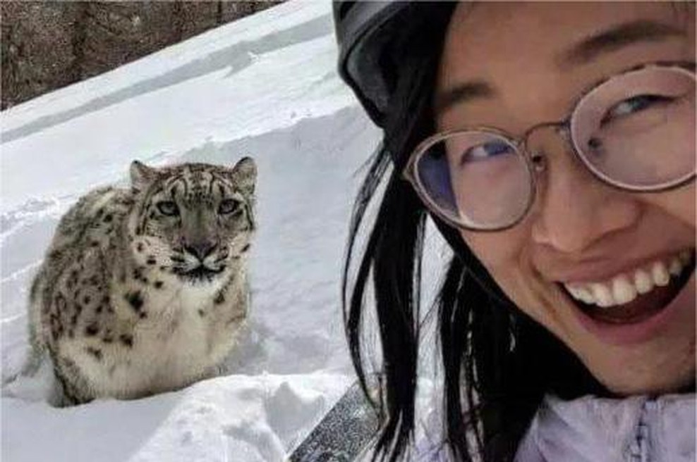 Sekunde do katastrofe: nič hudega sluteča mladenka tik pred napadom pozirala s snežnim leopardom (foto: X/BuzzSpill)