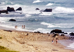 Sprehajali so se po priljubljeni obali in obstali kot vkopani, odgovorni pa takoj glasno zakričali: "Tega se ne dotikajte!"