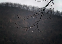 Vremenoslovci napovedali: tako dolgo bodo v tem tednu vztrajale padavine