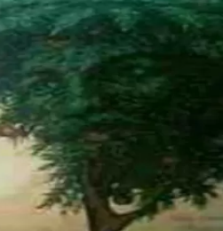 Obraz v drevesu Če ste najprej opazili obraz v drevesu, to pomeni, da se raje izogibate socialnim interakcijam. Počutite se …