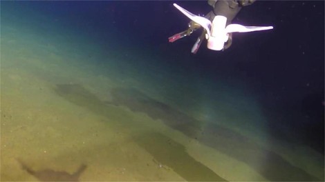 Osupljivo odkritje pod gladino oceana: nenadoma se je pojavila orjaška žival (FOTO)