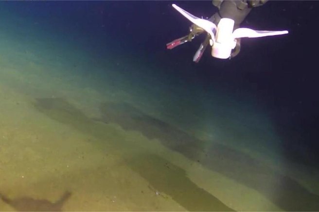 Osupljivo odkritje pod gladino oceana: nenadoma se je pojavila orjaška žival (FOTO)