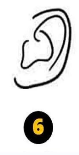 6 Zašiljena oblika ušes Če imate zašiljena ušesa, vaše osebnostne lastnosti razkrivajo, da ste izjemno intuitivni. Najverjetneje ste dobro seznanjeni …