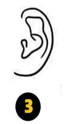 3 Priraščena ušesna mečica Če imate priraščeno ušesno mečico, vaše osebnostne lastnosti razkrivajo, da zelo dobro razumete človeško naravo. Ste …