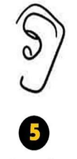 5 Kvadratna oblika ušes Če imate kvadratno obliko ušes, vaše osebnostne lastnosti razkrivajo, da radi živite preprosto življenje. Najraje ostanete …