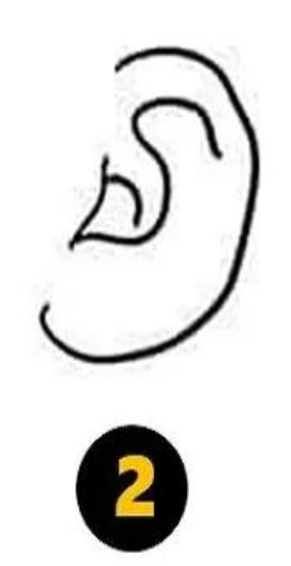 2 Velika ušesa Če imate velika ušesa, vaše osebnostne lastnosti razkrivajo, da ste mirni in stabilni v svojem vedenju. Izžarevate …