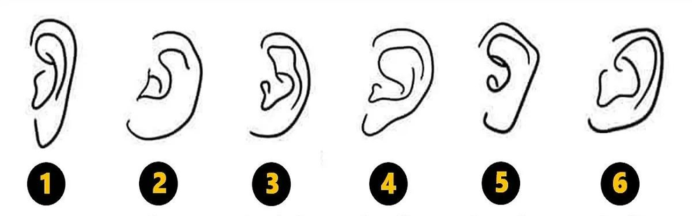 Pred vami je šest različnih oblik ušes, pri katerih naj bi vsaka razkrivala določene osebnostne lastnosti. Katera oblika je vaša? …