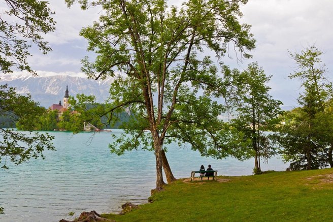 Bled Blejsko jezero