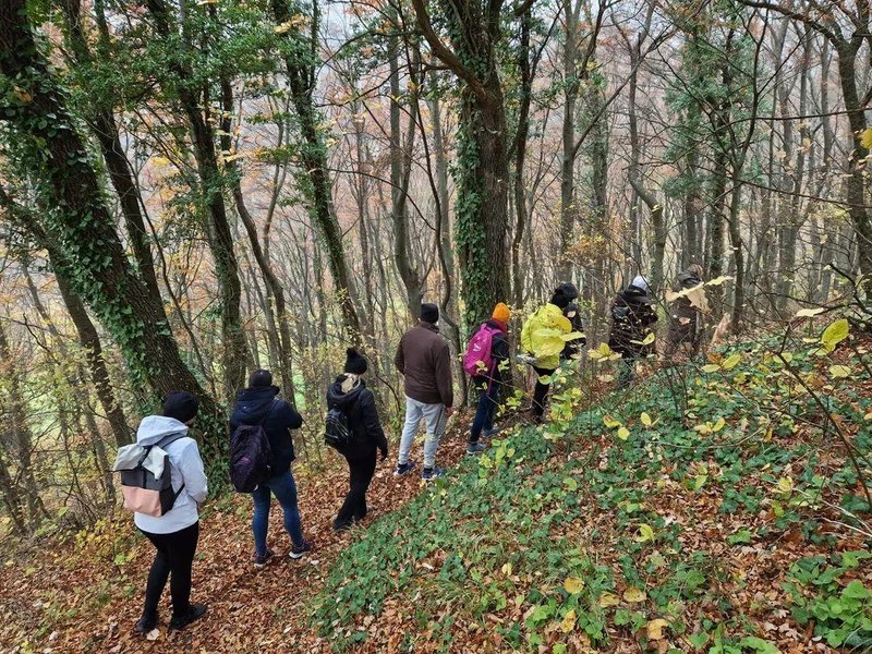 Radoboj gozdna kopel