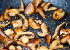 Družina v gozdu nabrala gobe in si jih privoščila kar 2-krat: nekaj ur kasneje so vstopili v nepredstavljivo nočno moro