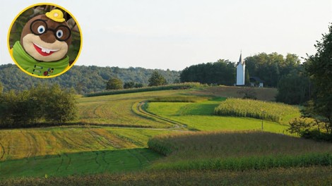 Goricko Vulkanija Oli krtek