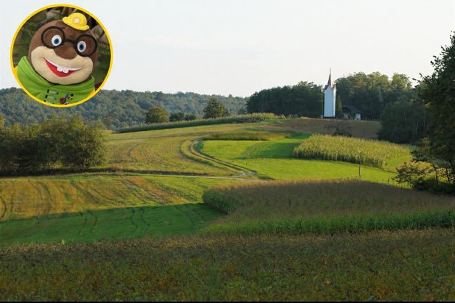 Goricko Vulkanija Oli krtek