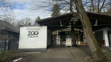 ZOO Ljubljana