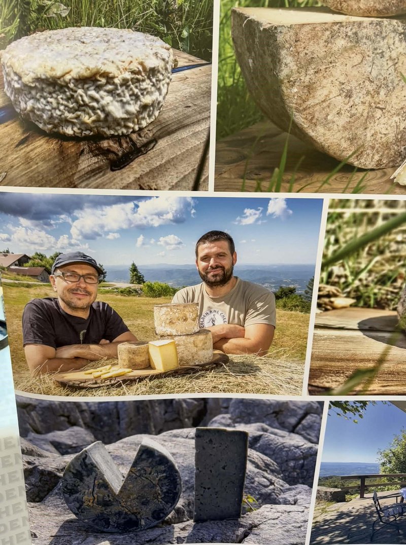 Golden Cheese sir siri