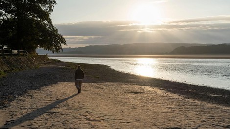 oenanthe crocata plaza morje sprehod strup smrtonosno opozorilo alarm nevarnost