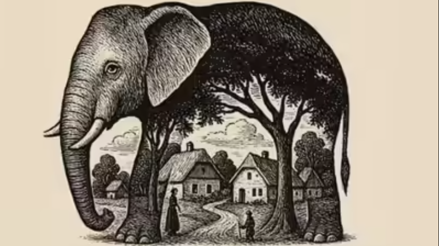 Preprosto zaprite oči in se sprostite. Nato ponovno poglejte zgornjo sliko. Kaj je najprej pritegnilo vašo pozornost? Kliknite naprej in …