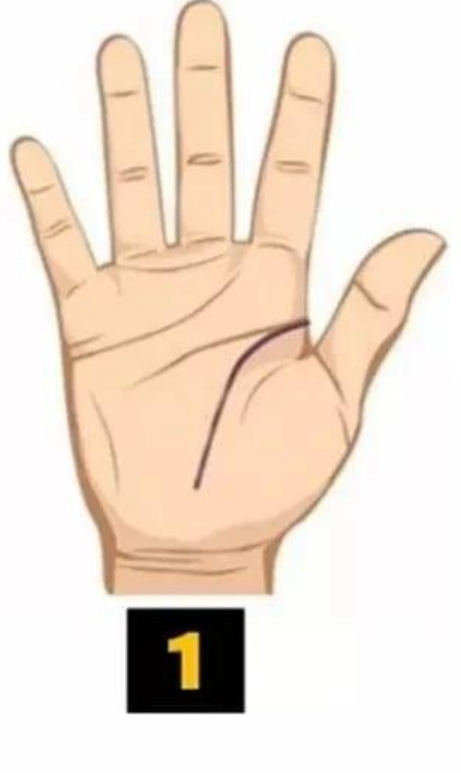 1 Življenjska črta Dolga, izrazita črta življenja, ki se v polkrogu široko ukrivlja, kaže na visoko raven navdušenja, moči in …