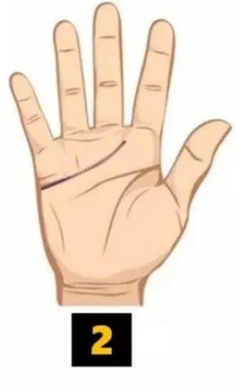 2 Srčna črta Daljša črta srca kaže na razumevajočo naravo, romantičnost, čustveno izražanje in sodelovanje v odnosih ter ljubezenskem življenju. …