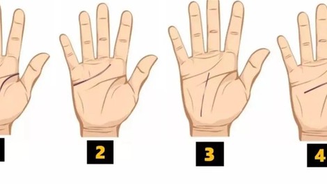 Kaj razkrivajo črte na vaši dlani? Vsaka od njih ima svoj pomen