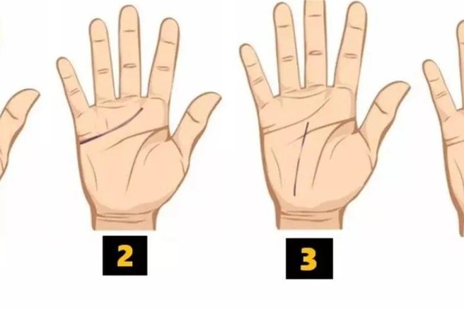 Kaj razkrivajo črte na vaši dlani? Vsaka od njih ima svoj pomen