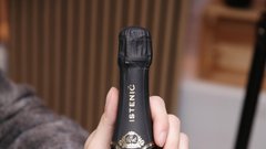 Mark Istenič podkast vino Iz trte izlito