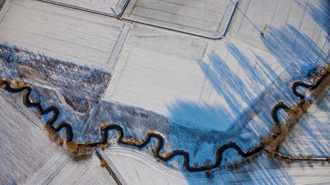 reka ren zvoncaste case zgodovina dnk analiza genetika preteklost clovestvo razvoj napredej