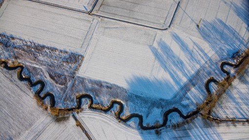 Genetiki analizirali DNK 112 posameznikov: popadali s stolov, ko se je pred njimi razodela skrivnost življenja v Evropi