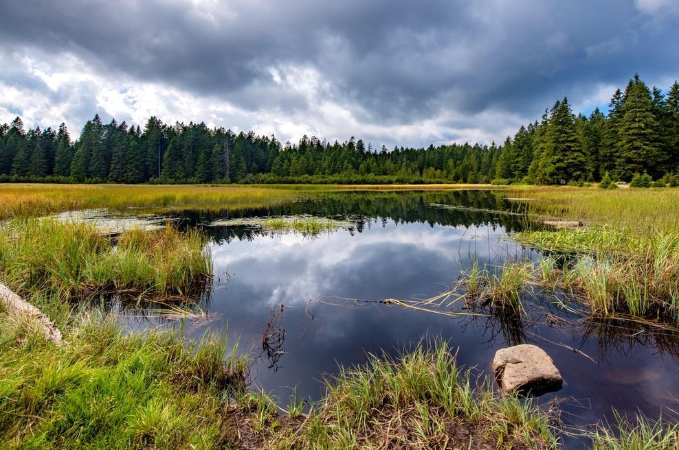 Na Pohorju se je zgodilo nekaj osupljivega: kaj takega niso videli že več desetletij (foto: Profimedia)