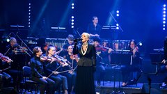 Elda Viler valentinov koncert slovo od odrov