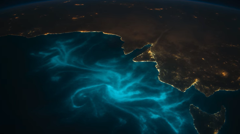 nasa satelit morje voda avstralija plankton vesolje posnetek