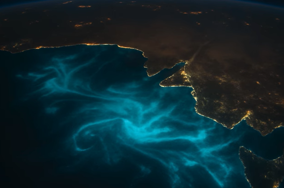 NASA pregledovala satelitske posnetke vesoljskega plovila PACE: osupljiv prizor vsem vzel sapo (foto: YouTube/posnetek zaslona)