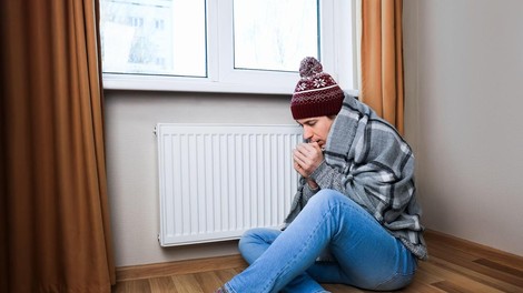 termostat stanovanje hisa zdravje virusi plesen zima temperature termostat znanstveniki