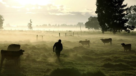 Sabana de Bogota okostje truplo 5500 let arheologija ostanki zgodovina dnk raziskava bolezen sifilis