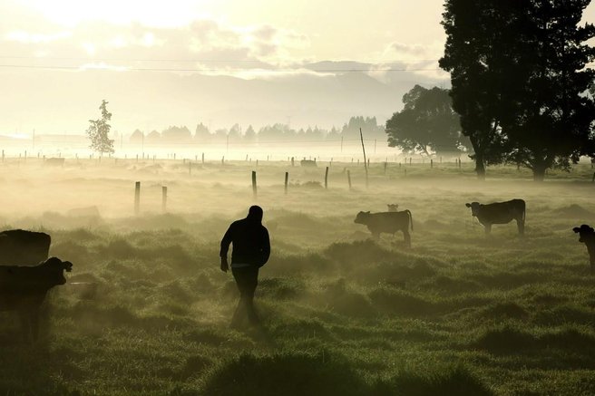 Sabana de Bogota okostje truplo 5500 let arheologija ostanki zgodovina dnk raziskava bolezen sifilis