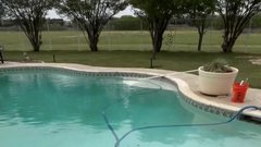 Airbnb, Sofia Kaiser, pozabljene stvari