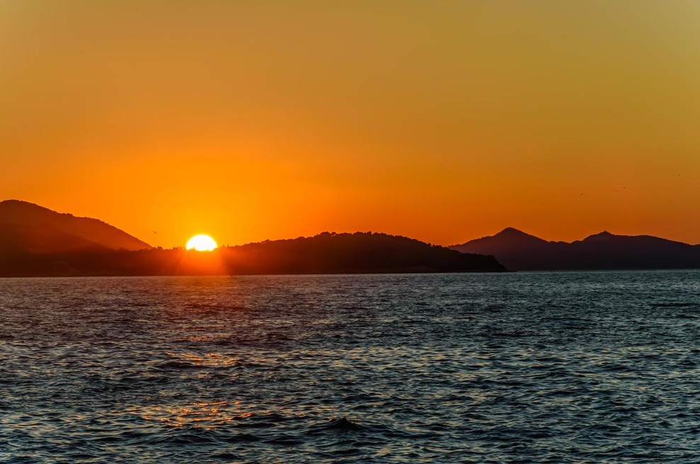 Z grozo so opazovali, kaj so izvlekli iz morja: ogromna pošast prišla celo do pristanišča, od šoka vsi obnemeli (foto: Profimedia)